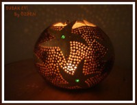 /album/resim-galerisi/deniz-y%c4%b1ld%c4%b1z%c4%b1-4-jpg/